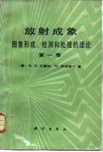 放射成象 图象形成、检测和处理的理论 第1卷