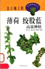 薄荷 绞股蓝高效种植