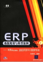 ERP系统规划与典型案例 利用Access 2003开发中小型ERP系统