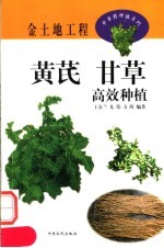 黄芪 甘草高效种植