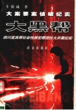 大黑帮 四川宜宾黑社会性质犯罪团伙火并案纪实