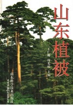 山东植被