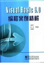 Visual Basic 6.0编程案例精解