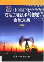 中国石化石油工程技术与管理会议文集 2004