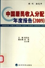 中国居民收入分配年度报告 2009