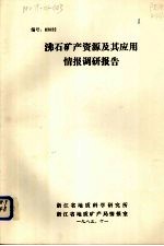 沸石矿产资源及其应用情报调研报告