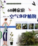 60种家庭空气净化植物