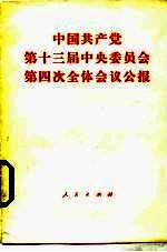 中国共产党第十三届中共委员会第四次全体会议公报