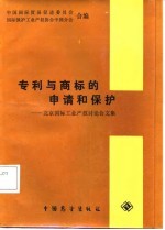 专利与商标的申请和保护 北京国际工业产权讨论会文集