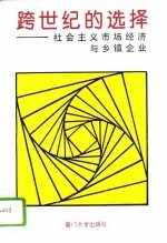 跨世纪的选择 社会主义市场经济与乡镇企业