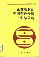 正在崛起的中国有色金属工业总公司