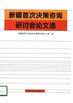 新疆首次决策咨询研讨会论文选