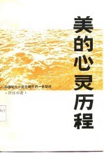 美的心灵历程 中国现代小说发展中的一条轨迹