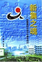 新集之魂 新集集团企业文化建设探讨