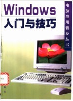 Windows入门与技巧