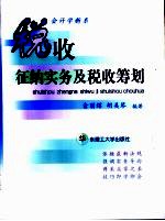 税收征纳实务及税收筹划