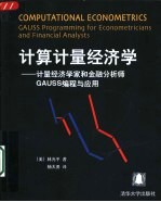 计算计量经济学 计量经济学家和金融分析师GAUSS编程与应用