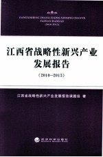 江西省战略性新兴产业发展报告 2010-2013