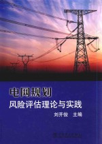 电网规划风险评估理论与实践