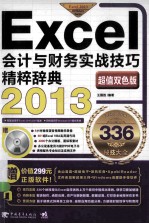 Excel会计与财务实战技巧精粹辞典 2013 超值双色版