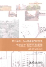 打工深圳 从大浪看城市化未来 “景观社会学”之深圳市大浪街道案例