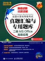 2018年无纸化考试专用 全国计算机等级考试真题汇编与专用题库 二级MS Office高级应用