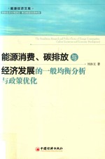 能源消费  碳排放与经济发展的一般均衡分析与政策优化