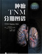 肿瘤TNM分期图谱