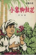 小象脚鼓花 中篇小说