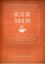 实习菜300例