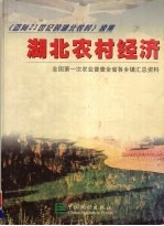 湖北农村经济 全国第一次农业普查全省各乡镇汇总资料