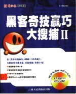 黑客奇技赢巧大搜捕 II