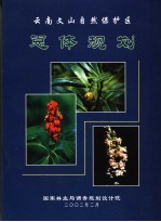 云南文山自然保护区总体规划 2002-2011年