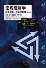 宏观经济学经济增长、波动和政策 第6版
