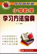 智慧的阶梯·小学数学学习方法宝典