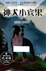 神犬小宾果