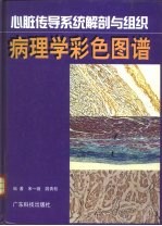 心脏传导系统解剖与组织病理学彩色图谱