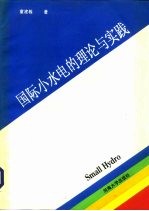 国际小水电的理论与实践