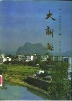 大新县志