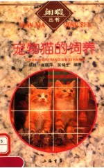 宠物猫的饲养