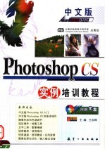 中文版Photoshop CS实例培训教程