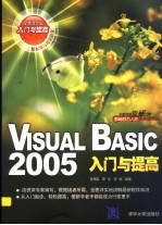 Visual Basic 2005入门与提高