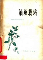 油茶栽培