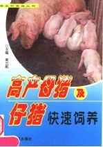 高产母猪及仔猪快速饲养