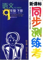 新课标测练考 语文 九年级 下