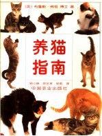 养猫指南