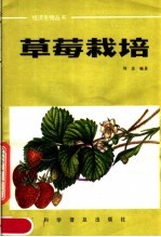 草莓栽培