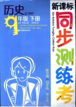 新课标同步测练考 历史 九年级 下