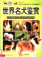 世界名犬鉴赏