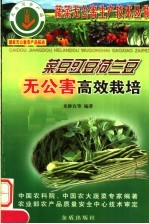 菜豆豇豆荷兰豆无公害高效栽培